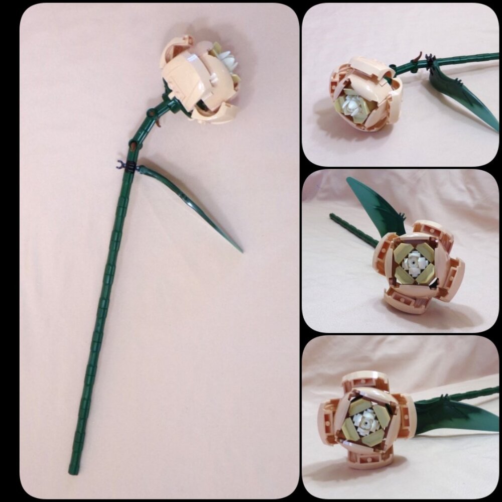 LEGO Botanical Flowers - 1 pcs Rose Tan Curved - Individual Sale 10280 Bouquet - Picture 8 of 8